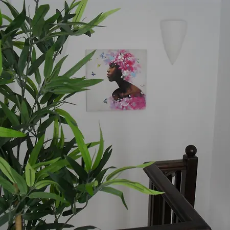 Aloha 45 別荘 プラヤ・ブランカ